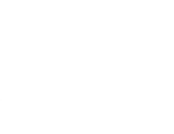 logo_light